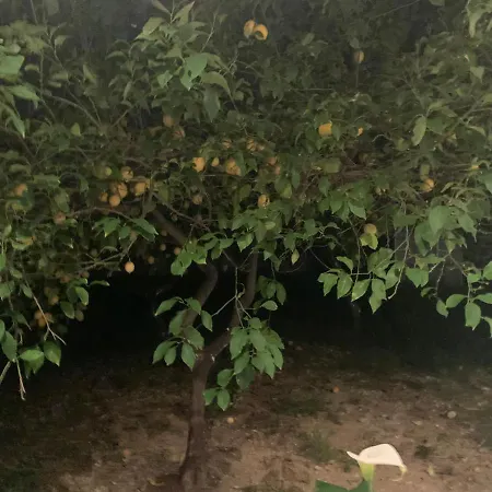 χαρα